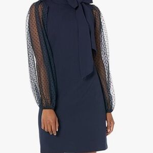 Mesh Dot Sleeve Shift Dress